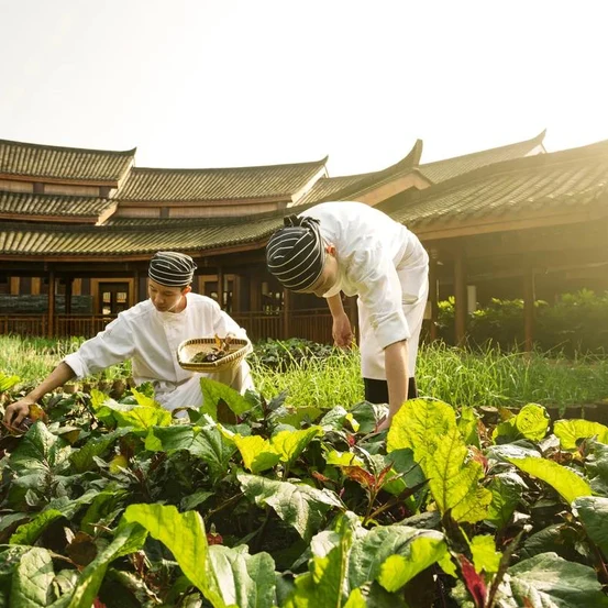 Organic farming